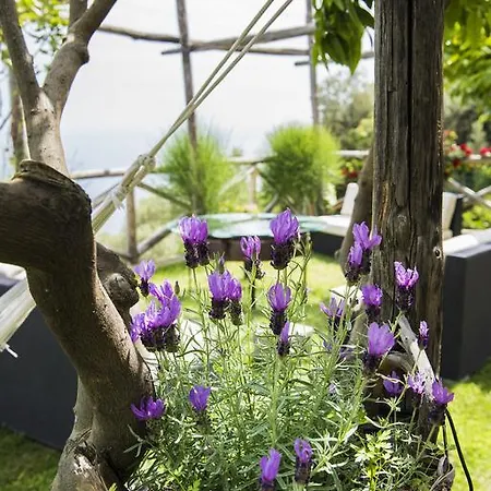 Maison d'hôtes Gianlica 4*